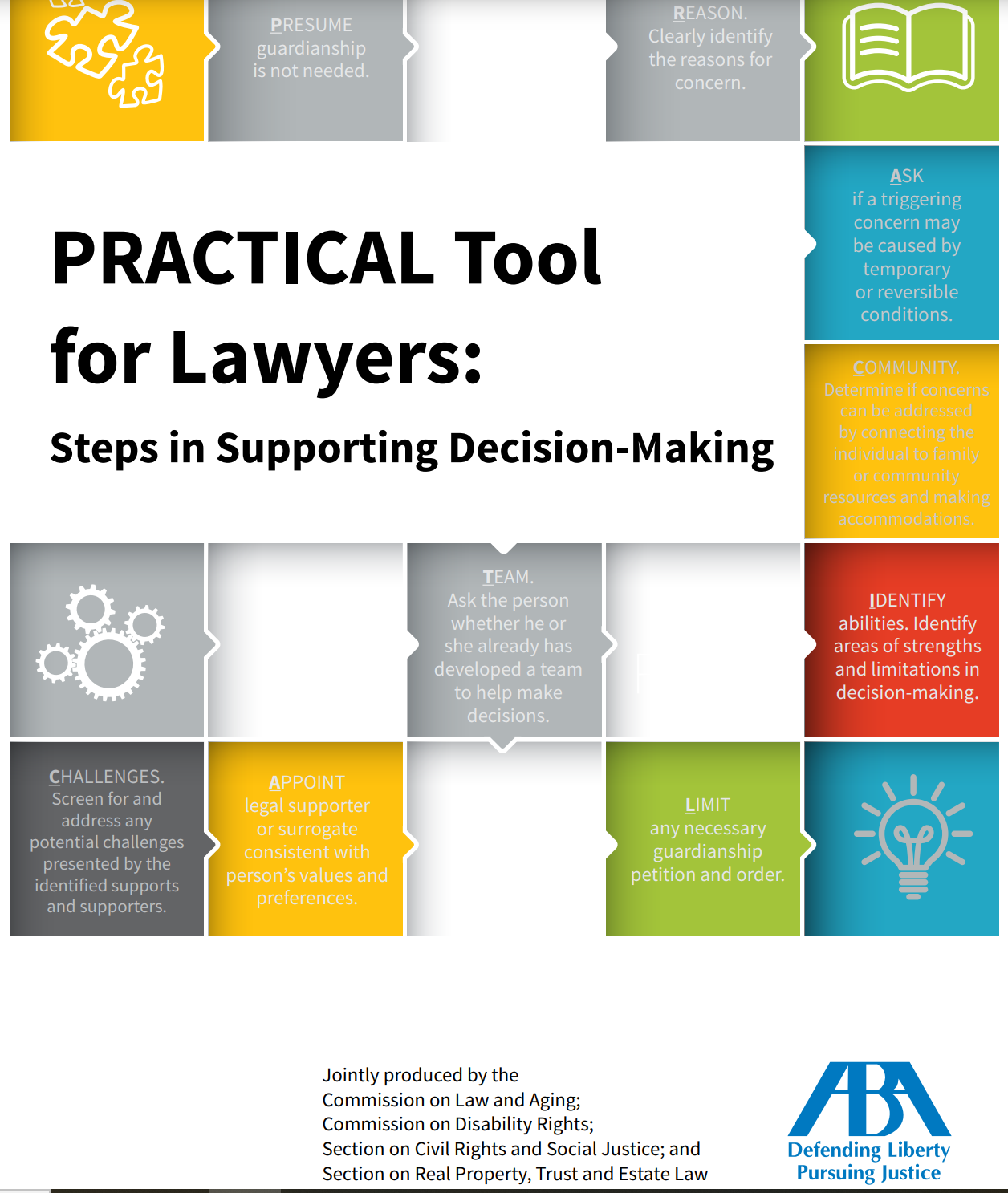 Cover art for: Practical Tool for Lawyers: Steps in Supporting Decision Making- PDF version